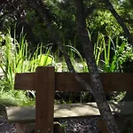 La Melusine - Le Souffle Du Saule - Bed & Breakfast