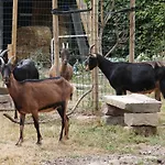 La Melusine - Le Souffle Du Saule - 3* Buhl-Lorraine