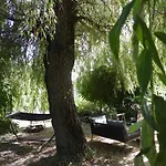 Bed & Breakfast La Melusine - Le Souffle Du Saule - Buhl-Lorraine