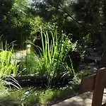 La Melusine - Le Souffle Du Saule - Alojamento de Acomodação e Pequeno-almoço