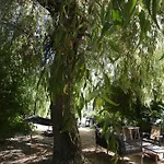 La Melusine - Le Souffle Du Saule - Bed & Breakfast