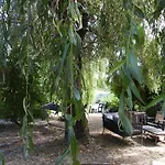 La Melusine - Le Souffle Du Saule -