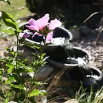 La Melusine - Le Souffle Du Saule - לינה וארוחת בוקר