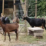 La Melusine - Le Souffle Du Saule - 3*