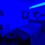 La Melusine - Le Souffle Du Saule - Bed & Breakfast