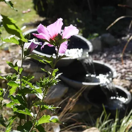 La Melusine - Du Souffle Du Saule Bed & Breakfast