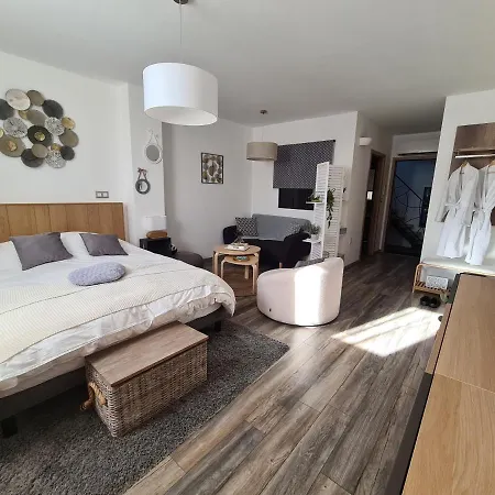 La Melusine - Le Souffle Du Saule - ベッド・アンド・ブレックファスト Buhl-Lorraine