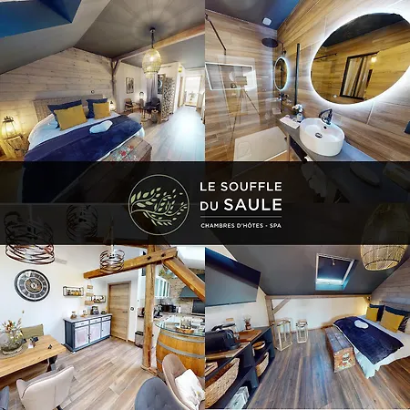 La Melusine - Le Souffle Du Saule - 3*