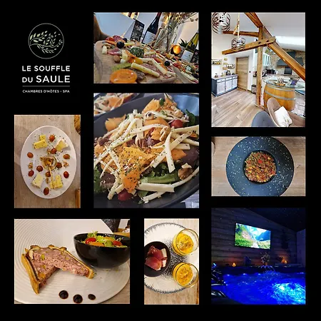 La Melusine - Du Souffle Du Saule Bed & Breakfast