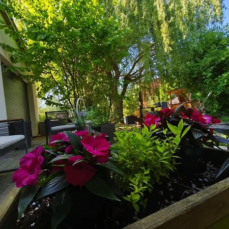 La Volupté - Le Souffle Du Saule - Buhl-Lorraine