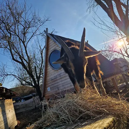 La Melusine - Le Souffle Du Saule - ベッド・アンド・ブレックファスト Buhl-Lorraine