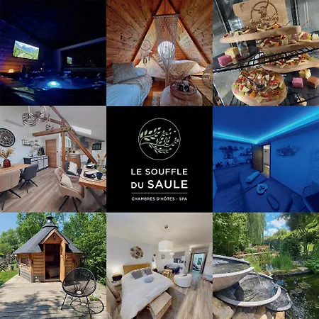 La Melusine - Le Souffle Du Saule -