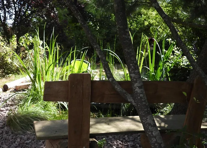 La Melusine - Le Souffle Du Saule - Bed & Breakfast