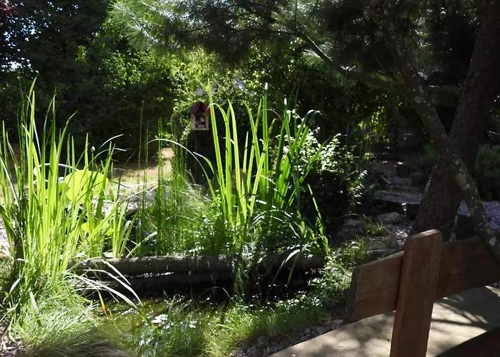 La Melusine - Le Souffle Du Saule - Bed & Breakfast