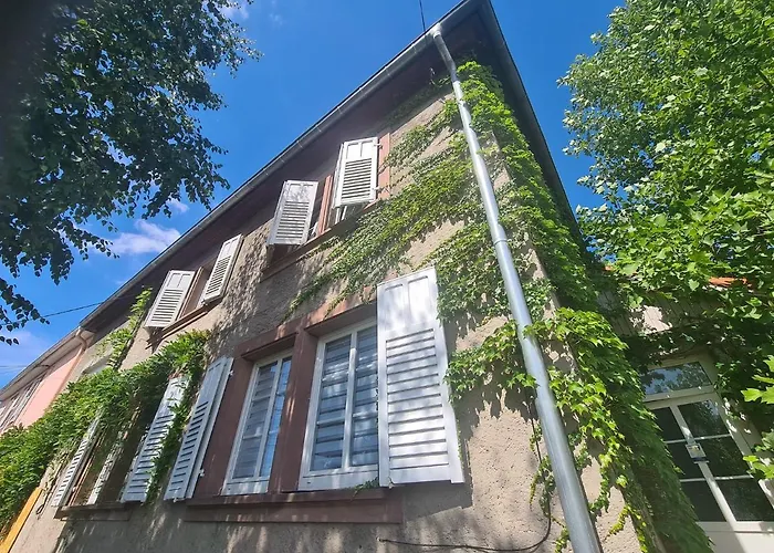 La Volupté - Le Souffle Du Saule - Couette-café