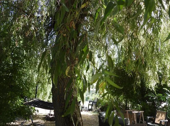 La Melusine - Le Souffle Du Saule - Bed & Breakfast