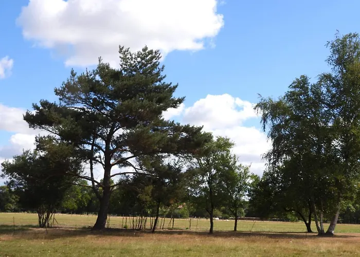 Couette-café La Volupté - Le Souffle Du Saule -