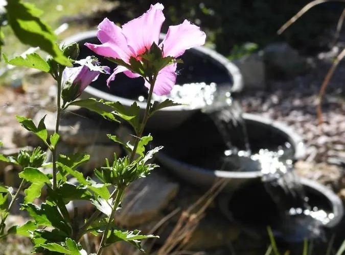 La Melusine - Le Souffle Du Saule - Bed & Breakfast