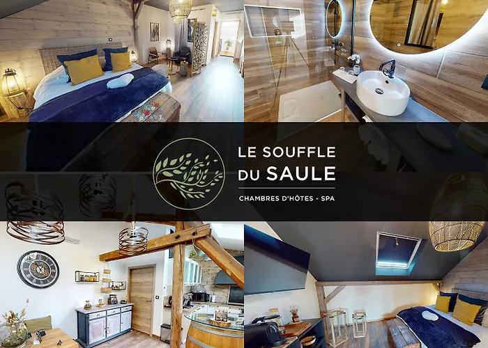 La Volupté - Le Souffle Du Saule - 3*