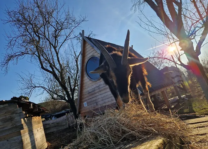 La Volupté - Le Souffle Du Saule - Couette-café